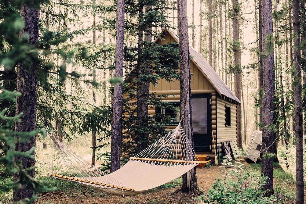 One of the bunkhouses in the middle of the woods surrounded by lands of trees and an accomodating hamock.