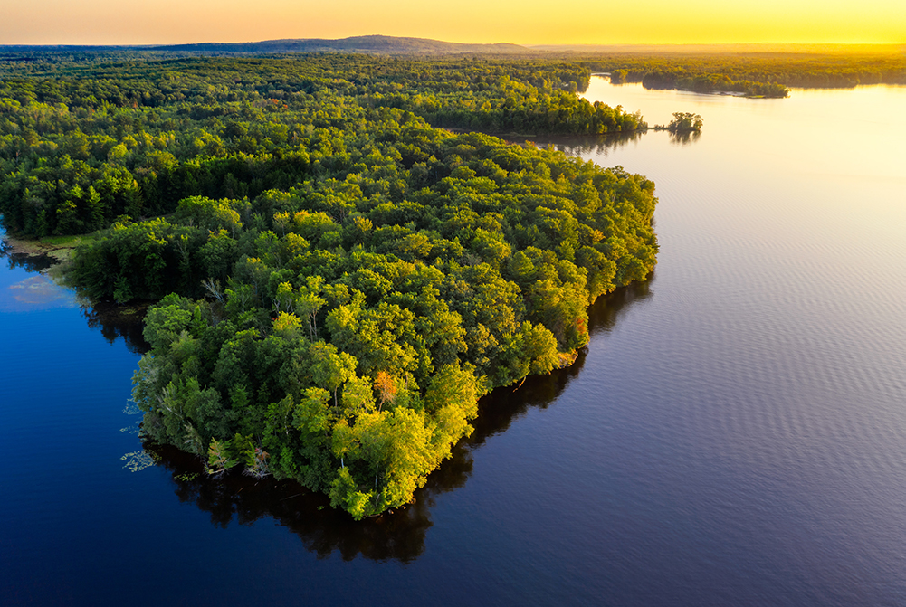 An over look of the lakes and forest of Ely, Minnesota.